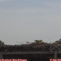 11_10-mast.jpg