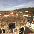 11_10-nest.jpg