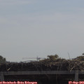 11_15-mast.jpg