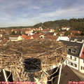 11_20-nest.jpg