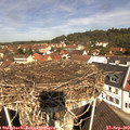 11_25-nest.jpg