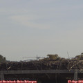 11_30-mast.jpg