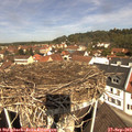 11_35-nest.jpg