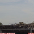11_45-mast.jpg