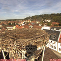 11_55-nest.jpg