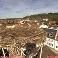 12_00-nest.jpg