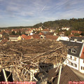12_05-nest.jpg