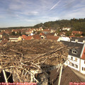 12_10-nest.jpg