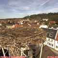 12_15-nest.jpg
