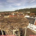 12_20-nest.jpg