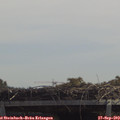 12_25-mast.jpg
