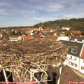 12_30-nest.jpg