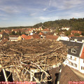 12_40-nest.jpg