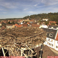 12_45-nest.jpg