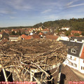 12_55-nest.jpg
