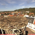 13_00-nest.jpg