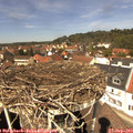 13_05-nest.jpg