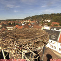 13_10-nest.jpg