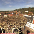 13_15-nest.jpg