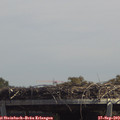 13_25-mast.jpg