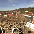 13_25-nest.jpg