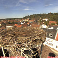 13_30-nest.jpg