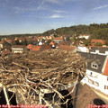 13_35-nest.jpg