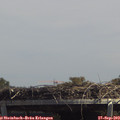 13_40-mast.jpg