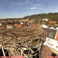 13_40-nest.jpg