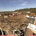13_45-nest.jpg