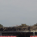 13_50-mast.jpg