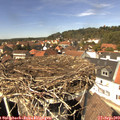 13_50-nest.jpg