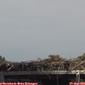 13_55-mast.jpg