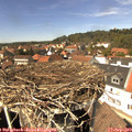 13_55-nest.jpg