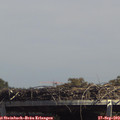 14_00-mast.jpg