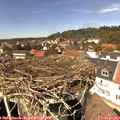 14_00-nest.jpg
