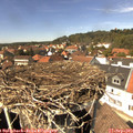 14_05-nest.jpg