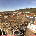 14_10-nest.jpg