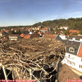 14_15-nest.jpg