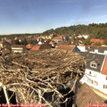 14_20-nest.jpg