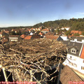 14_40-nest.jpg