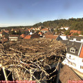 14_45-nest.jpg