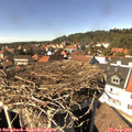 14_55-nest.jpg