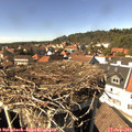 15_00-nest.jpg