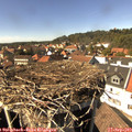 15_05-nest.jpg