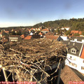15_15-nest.jpg