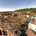 15_25-nest.jpg