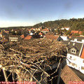 15_30-nest.jpg