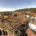 15_40-nest.jpg