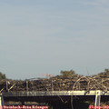 15_50-mast.jpg